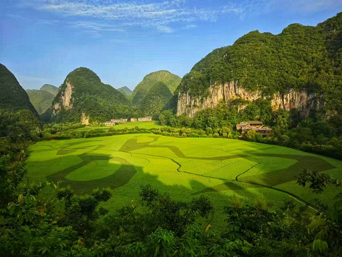 湖南劲鸣律师事务所,专业化分工,团队作战的律师事务所 湖南劲鸣律师事务所,专业化分工,团队作战的律师事务所