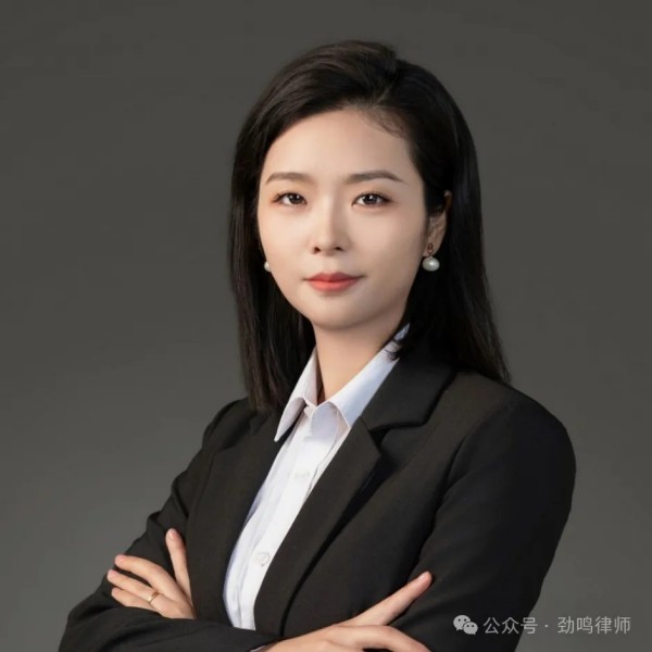 湖南劲鸣律师事务所,专业化分工,团队作战的律师事务所 湖南劲鸣律师事务所,专业化分工,团队作战的律师事务所